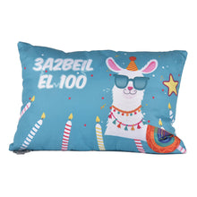 Load image into Gallery viewer, BIRTHDAY Pillow
