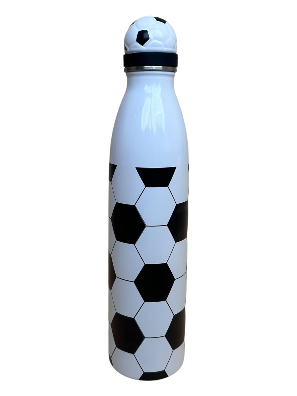 Double Wall Stainless steel bottle