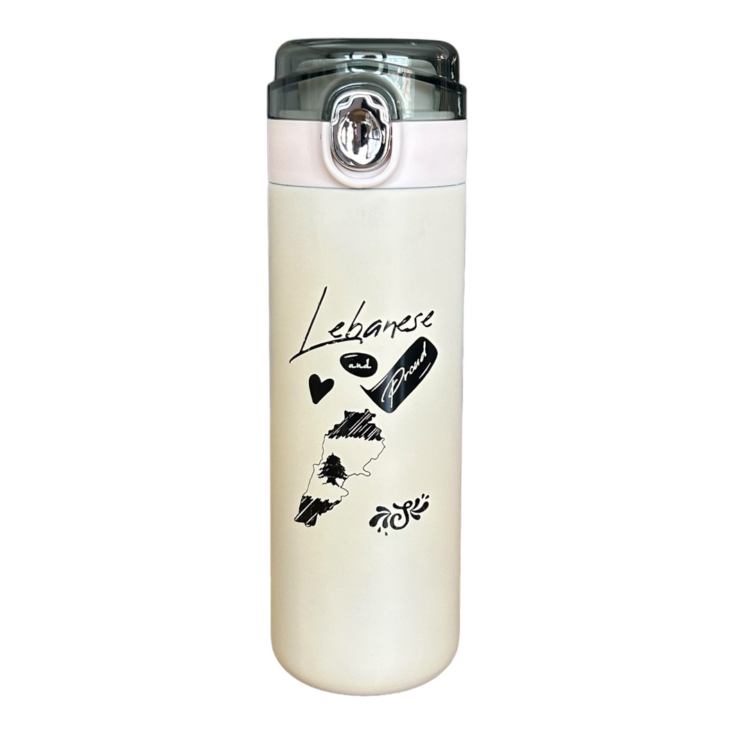 Double Wall Stainless Steel Bottle